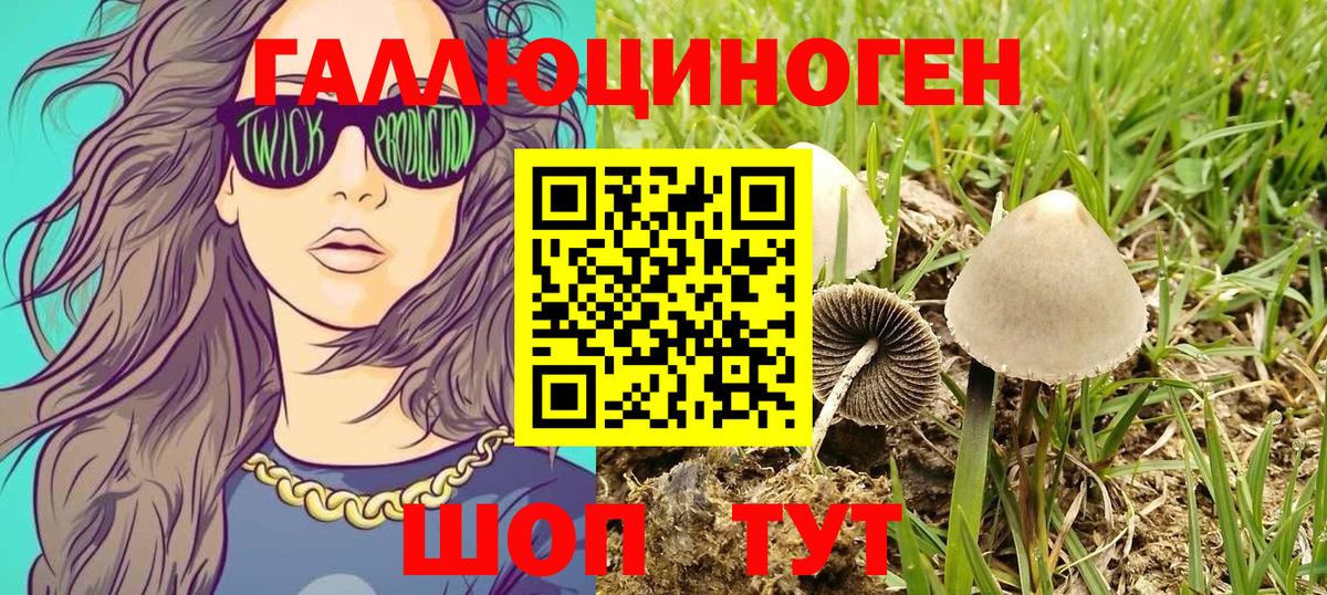 Псилоцибиновые грибы Psilocybe Добрянка